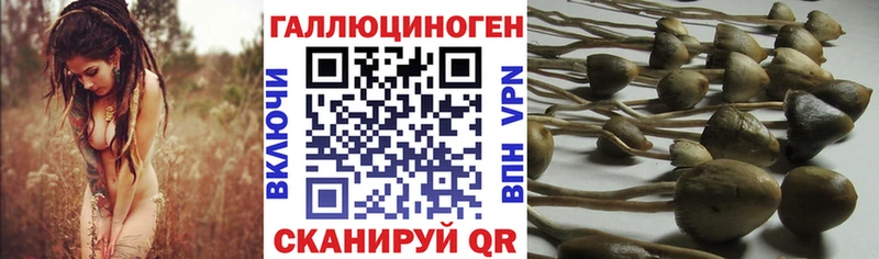Купить закладки  Краснослободск  Галлюциногенные грибы ЛСД 